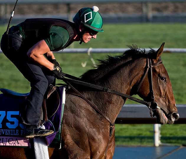 Donegal will send Puca to the starting gate in the Breeders' Cup Juvenile Fillies on Saturday.